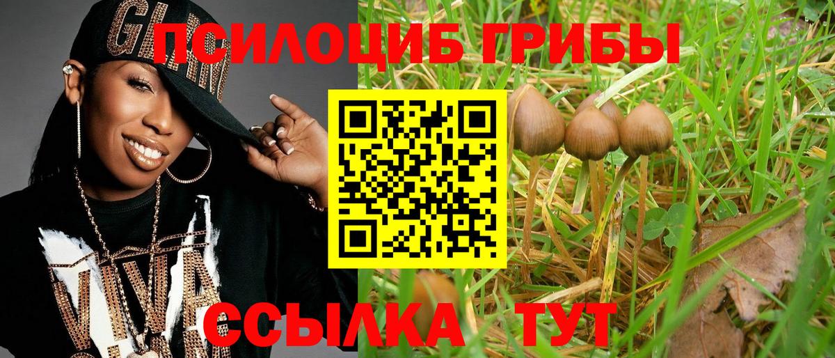 Галлюциногенные грибы Magic Shrooms  Галлюциногенные грибы Magic Shrooms  Вход с VPN  Лысьва 
