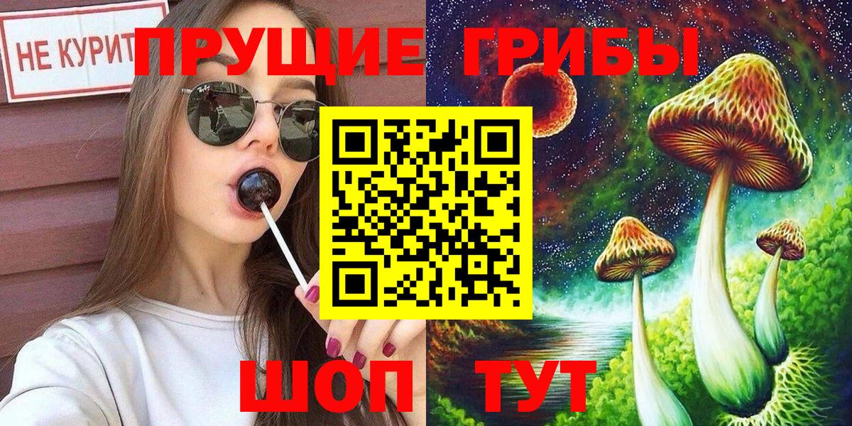 Псилоцибиновые грибы Psilocybe Лысьва
